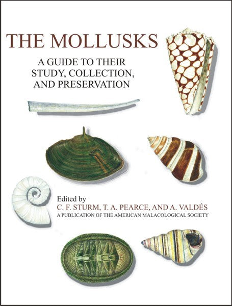 The Mollusks (PBK) Print Edition